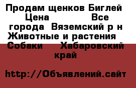 Продам щенков Биглей › Цена ­ 15 000 - Все города, Вяземский р-н Животные и растения » Собаки   . Хабаровский край